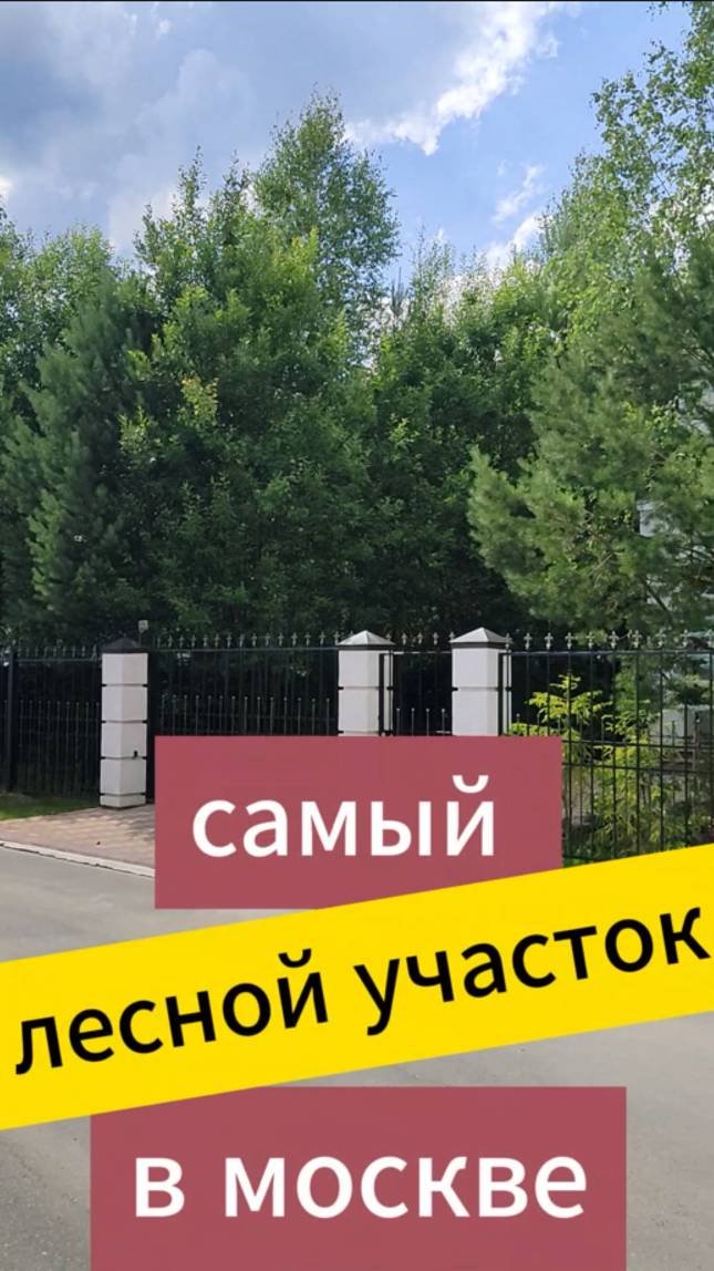 Когда нашел ЛЕСНОЙ!! участок... смотреть онлайн