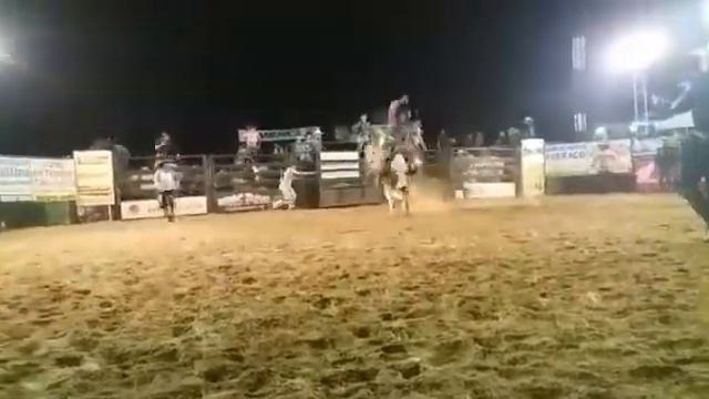 ZNA rodeio em bois(2) смотреть онлайн