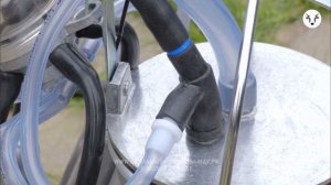 Доильный аппарат МДУ-7+