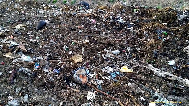 Железо Под Яблоней Закопал, И Съездил На Свалку,и Что Я Нашёл На Свалке. смотреть онлайн