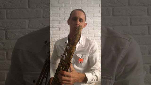 Stevie Wonder - Isn't She Lovely (Sax Cover)