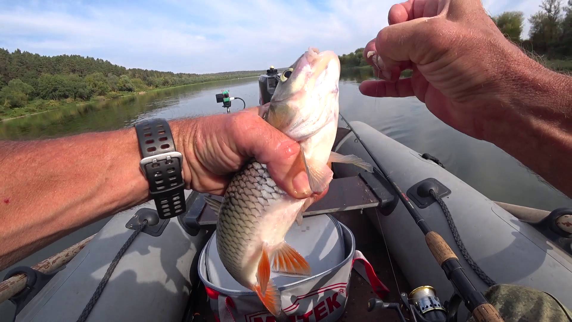 НЕ КРЯКАЙ, ОТПУСКАЮ. смотреть онлайн