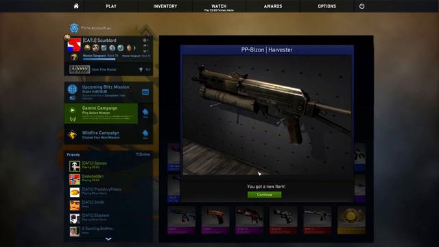 Wasting money with friends (CS:GO Gamma case opening) смотреть онлайн