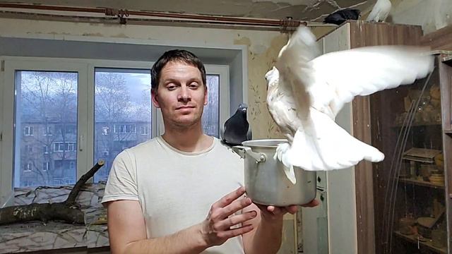 Сделай паузу и посмотри на кабачков в замедленной съёмке смотреть онлайн