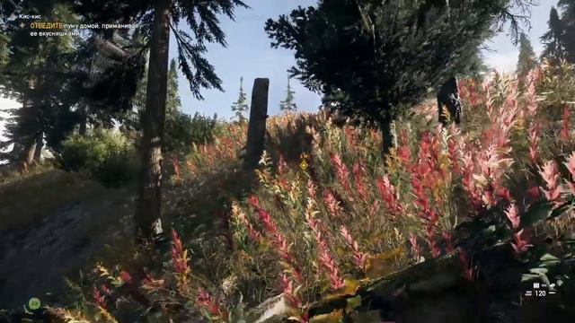 Far Cry 5 кооп (приколи, баги) смотреть онлайн