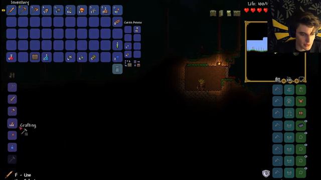 A LOT OF DEATH | Terraria (Overhaul mod) Episode 1 смотреть онлайн