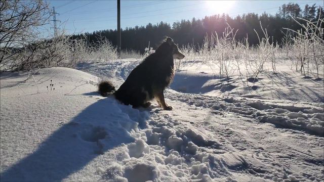 Мороз и солнце, день прекрасный! смотреть онлайн