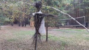 ролик - знакомство/живу в лесу