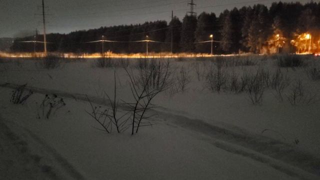 Лесные беседы. А вы боялись в детстве темноты? смотреть онлайн