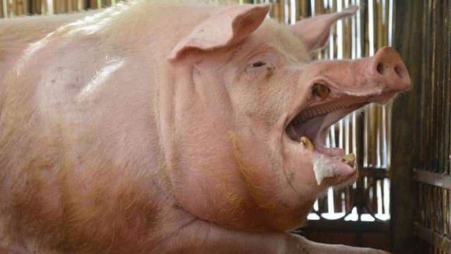 хахаха смотреть онлайн