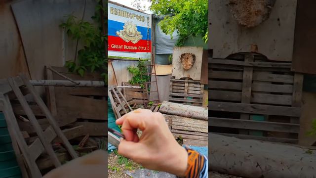 В яблочко! Наши стрелы для арбалетов всегда летят точно в цель! #арбалеты #shorts #стрелы смотреть онлайн