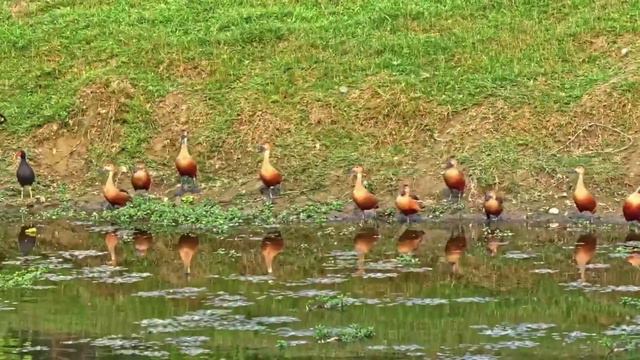 Всем доброго утра и хорошего дня! смотреть онлайн