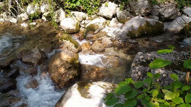 3 Гагра, ущелье Жоэквара