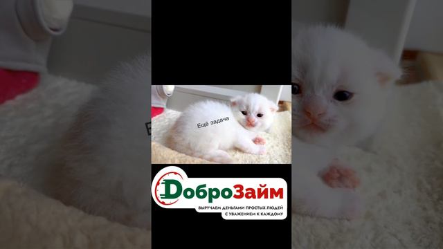 Я и новые задачи