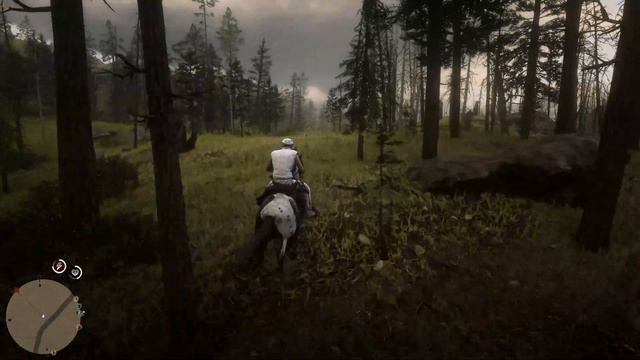 Red Dead Redemption 2 / RDO / Обновление / Новая роль/ Red Dead Online смотреть онлайн