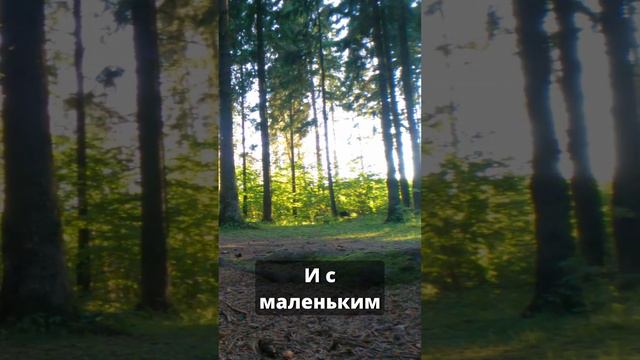 Как ПОНЯТЬ что арбалет ПОДОЙДЕТ ДЛЯ ОХОТЫ? смотреть онлайн