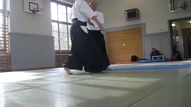 27 Gyaku-Hanmi Omote Iriminage (2)