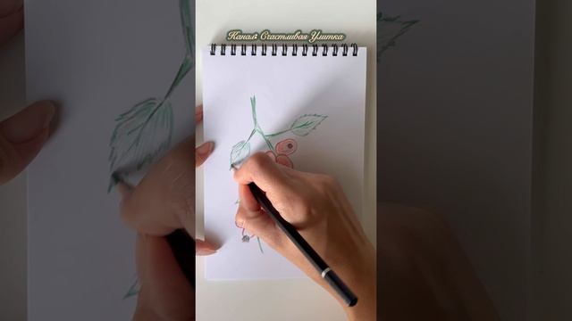 Рисунок карандашом детям смотреть онлайн