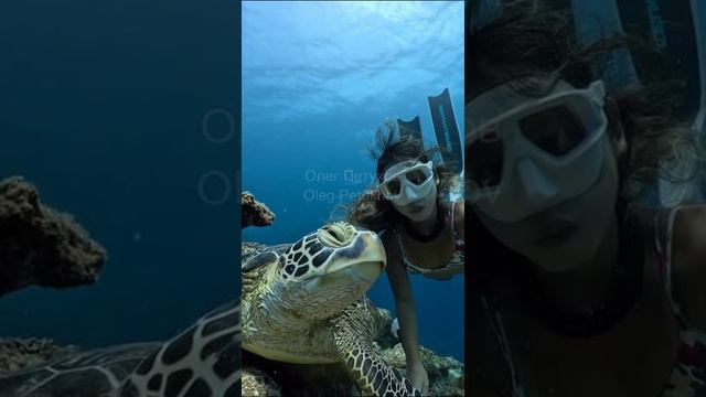 Мальдивы. Maldives. 马尔代夫。 смотреть онлайн