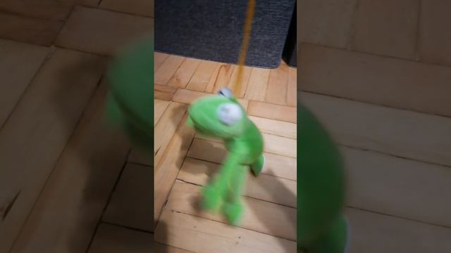 Спалил лицо 💀 смотреть онлайн