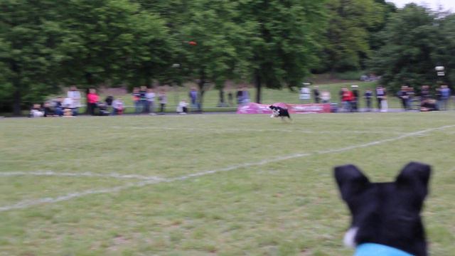 Monika & Banksy | Far Out смотреть онлайн