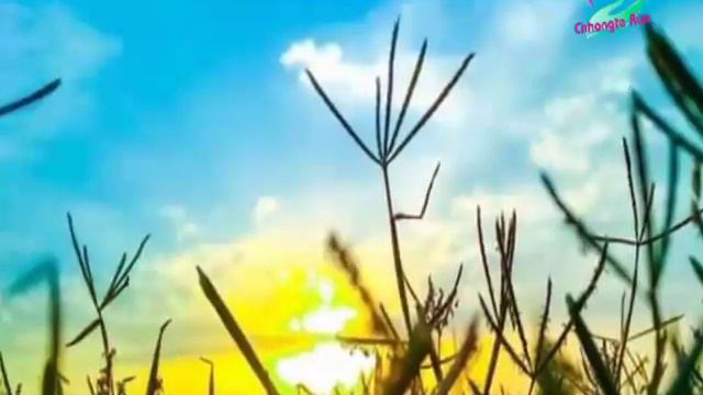 ZOTEI - 1 of 2 | Ziaktu : Toni DA Ralte Ahmangaihi смотреть онлайн