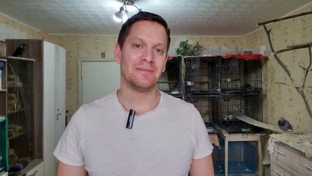 Птичьи новости. 6 апреля 2024 смотреть онлайн