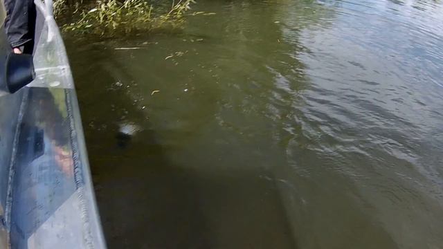 РУКА УСТАЛА ОТ ПОКЛЕВОК! РЫБАЛКА В МОШКУ ПОСЛЕ ЗАПРЕТА В АСТРАХАНСКОЙ ОБЛАСТИ 2022 НИЖНЯЯ ВОЛГА