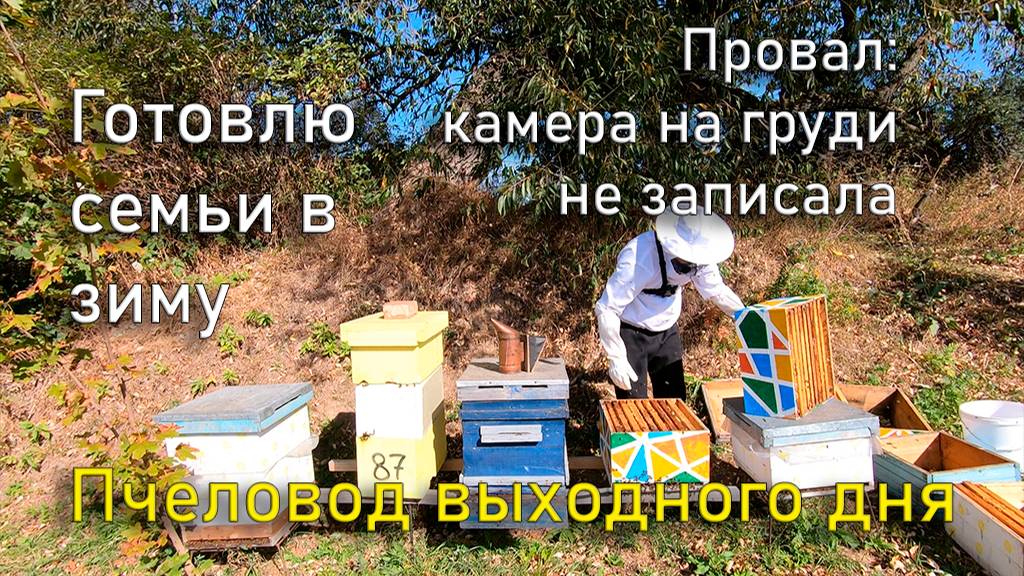 Готовлю семьи в зиму. Пчеловод выходного дня смотреть онлайн