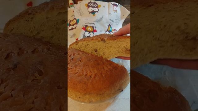 Петушок Петя и вкусный домашний хлеб #птицы #birds смотреть онлайн