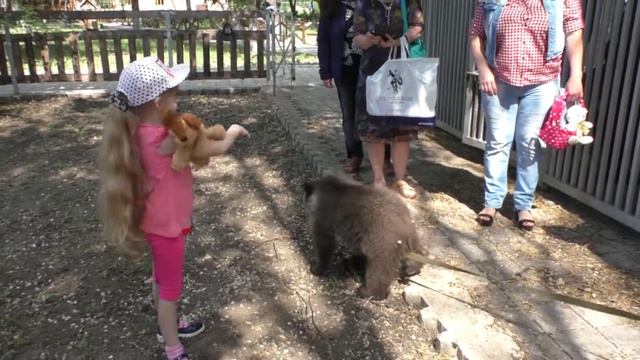 Маргаритка в гостях у диких зверей смотреть онлайн