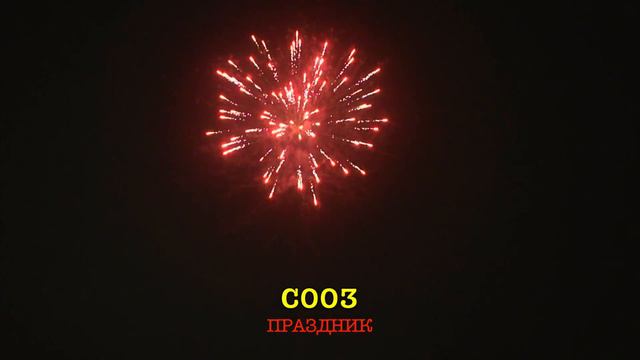 С003 ПРАЗДНИК (12 залпов, 0.8 ) смотреть онлайн