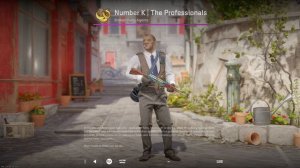 CS2 Number K | The Professionals - Counter-Strike 2 Agent Skin Showcase & Inspect