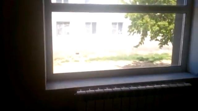 Видео внутри смотреть онлайн