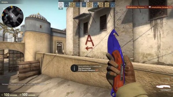 Gut Knife Doppler Ruby and Sapphire
