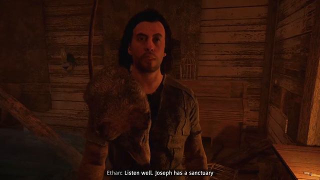 Far Cry New Dawn storyline explanation, summarize and review in: Hindi смотреть онлайн