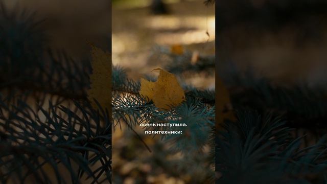 Осень наступила. Политехники: смотреть онлайн