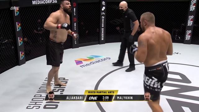 Training For The Knockout: Anatoly Malykhin vs Amir Aliakbari смотреть онлайн