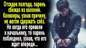 Истории из жизни: "Побег из колонии"  Слушать аудио рассказы. Истории онлайн