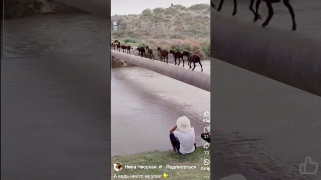 1000063567.mp4 смотреть онлайн