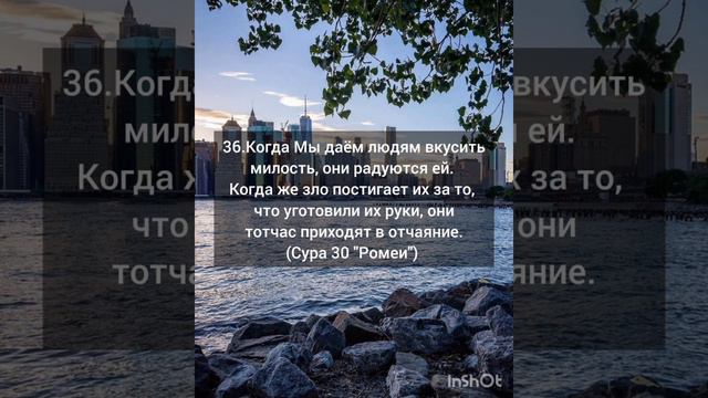 сура 30, аят 36.mp4 смотреть онлайн