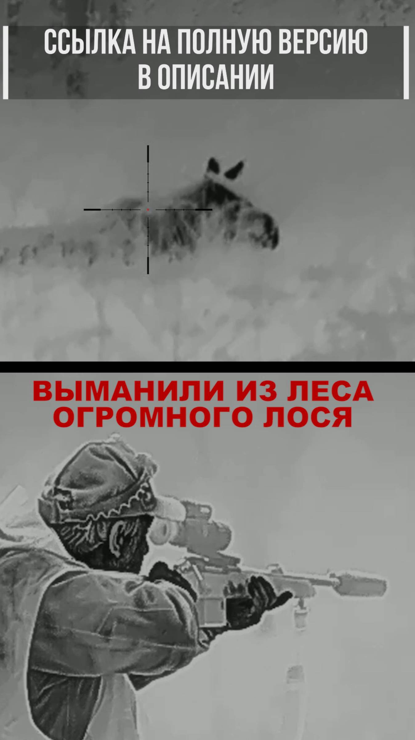 Выманили ОГРОМНОГО ЛОСЯ. Охота на лося. Серия уже на канале. смотреть онлайн