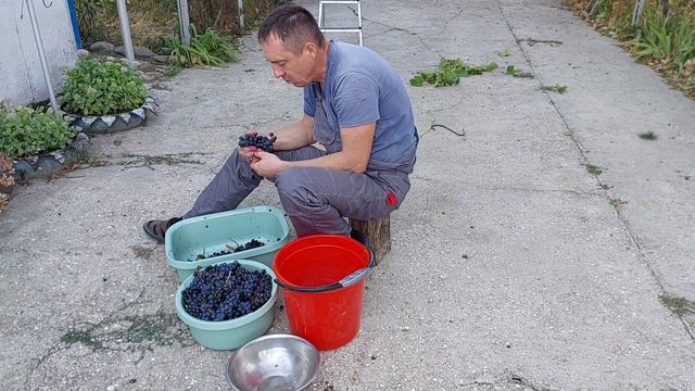 Ремонт в доме кубанце. Что с котом? Выставляю маяки. смотреть онлайн