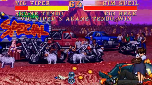Street Fighter II Deluxe 2: Vic Viper + Akane Tendo run No Miss (1 round matches) смотреть онлайн