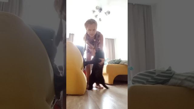 танцы с кошкой смотреть онлайн