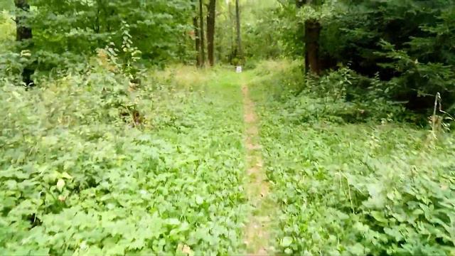 Стрелы Шатун. Стрельба из Арбалета Mainhunter Doom на 50 метров. смотреть онлайн