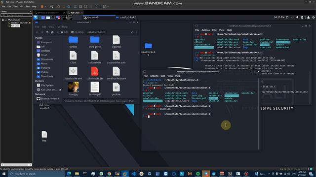 Cobalt Strike Installation in Kali Linux. смотреть онлайн