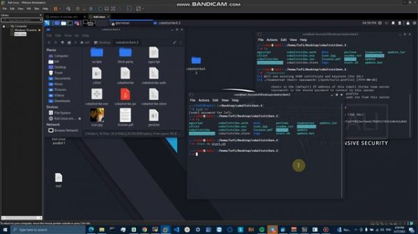 Cobalt Strike Installation in Kali Linux.