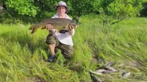 ЛОВЛЯ САЗАНА НА РЕКЕ ДОН В ВОЛГОГРАДСКОЙ ОБЛАСТИ. ВЗЯЛ ТРОФЕЙ!! ПОБИЛ ЛИЧНЫЙ РЕКОРД!!!