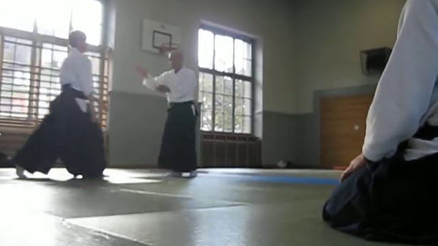 26 Gyaku-Hanmi Omote Iriminage (1)